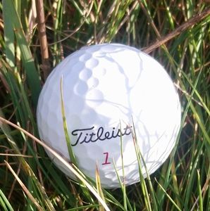 Meet your Posher, Randy